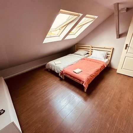 ティミショアラ Serbian House Bed & Breakfast エクステリア 写真