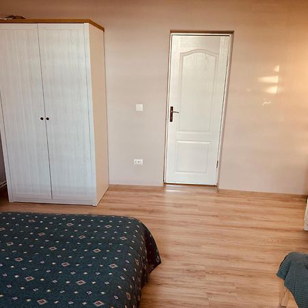 ティミショアラ Serbian House Bed & Breakfast エクステリア 写真