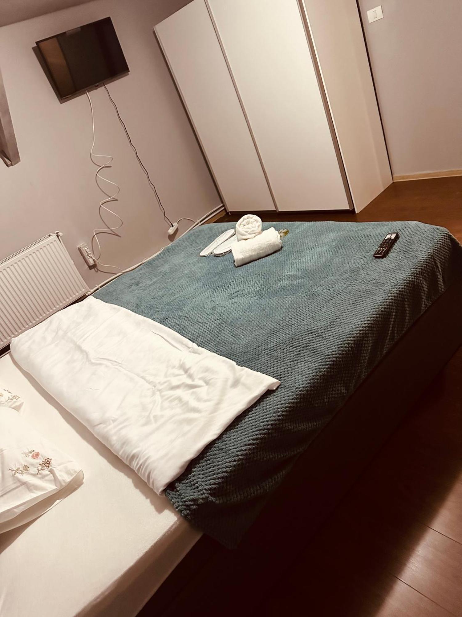 ティミショアラ Serbian House Bed & Breakfast エクステリア 写真
