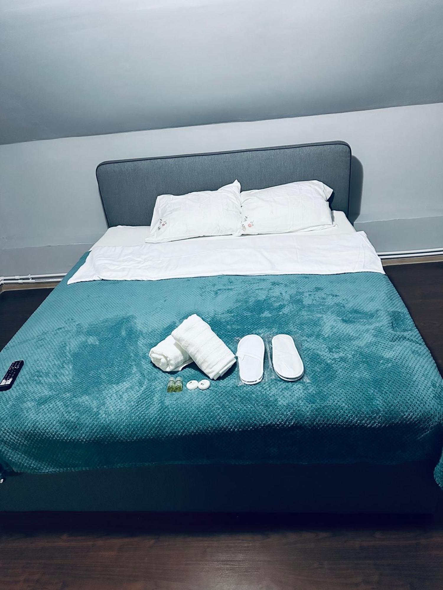 ティミショアラ Serbian House Bed & Breakfast エクステリア 写真