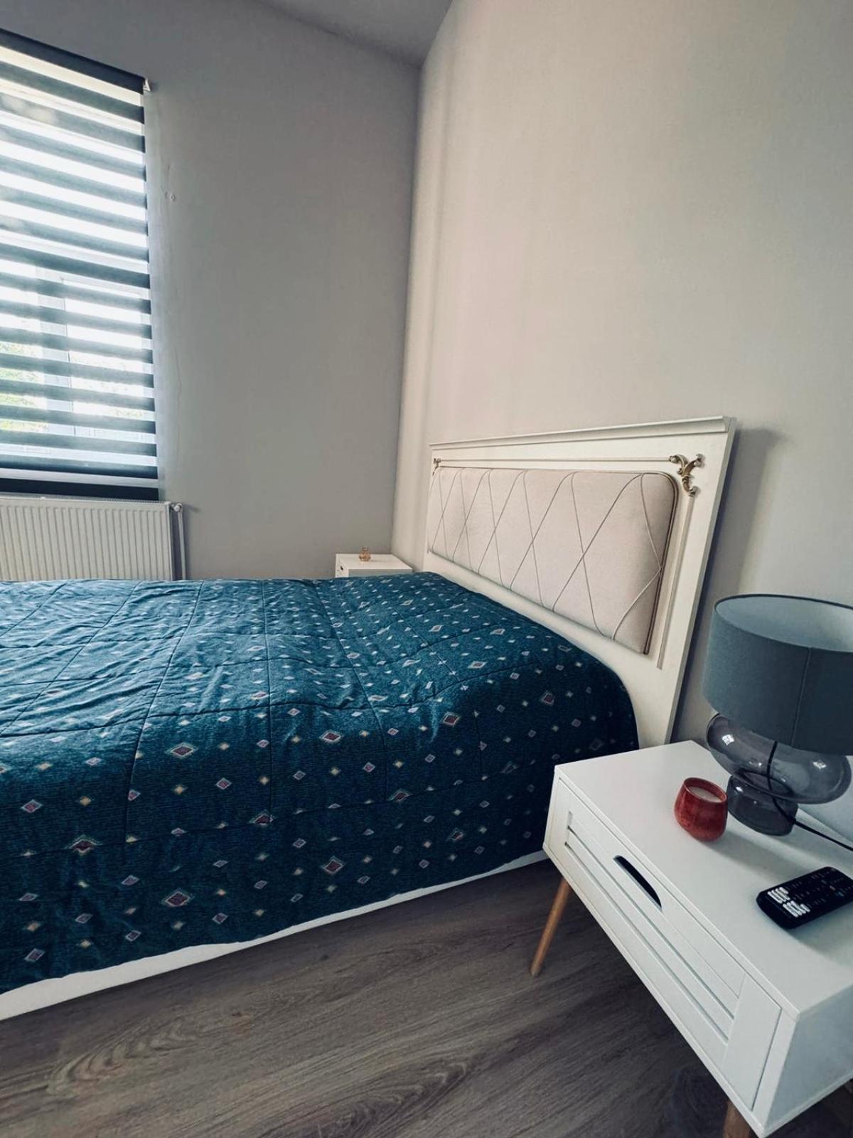 ティミショアラ Serbian House Bed & Breakfast エクステリア 写真