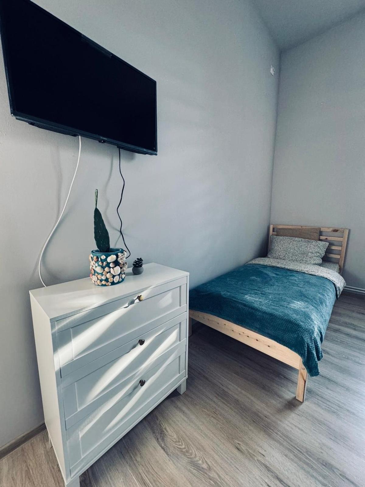 ティミショアラ Serbian House Bed & Breakfast エクステリア 写真