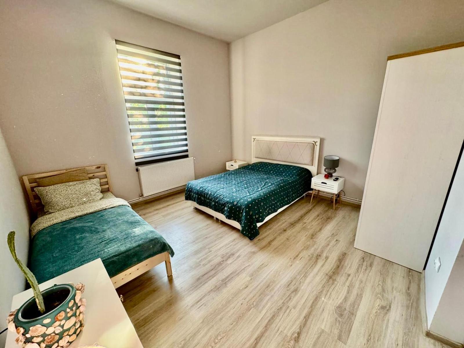 ティミショアラ Serbian House Bed & Breakfast エクステリア 写真