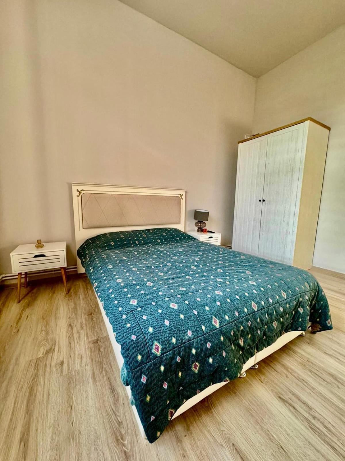 ティミショアラ Serbian House Bed & Breakfast エクステリア 写真