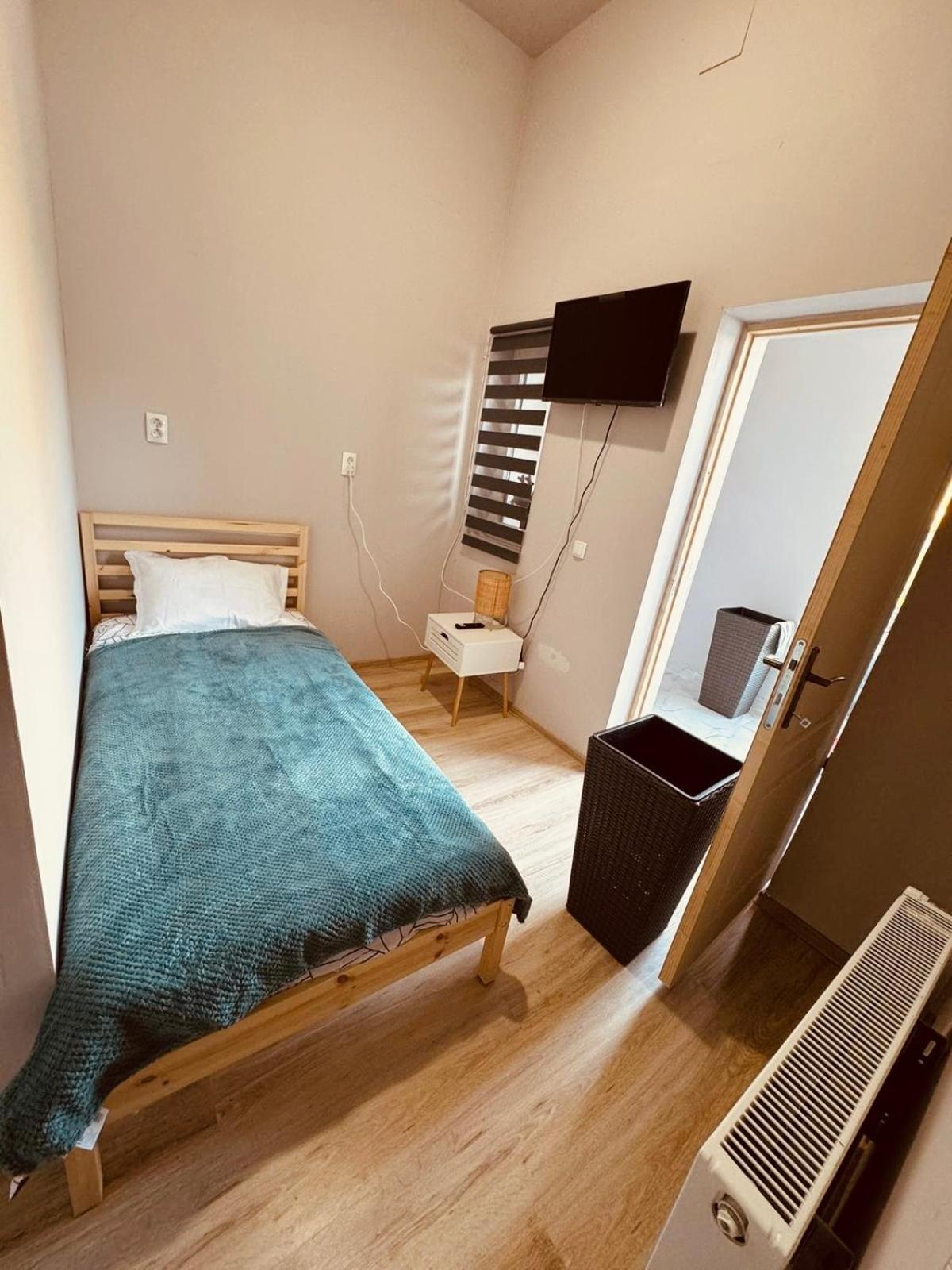 ティミショアラ Serbian House Bed & Breakfast エクステリア 写真