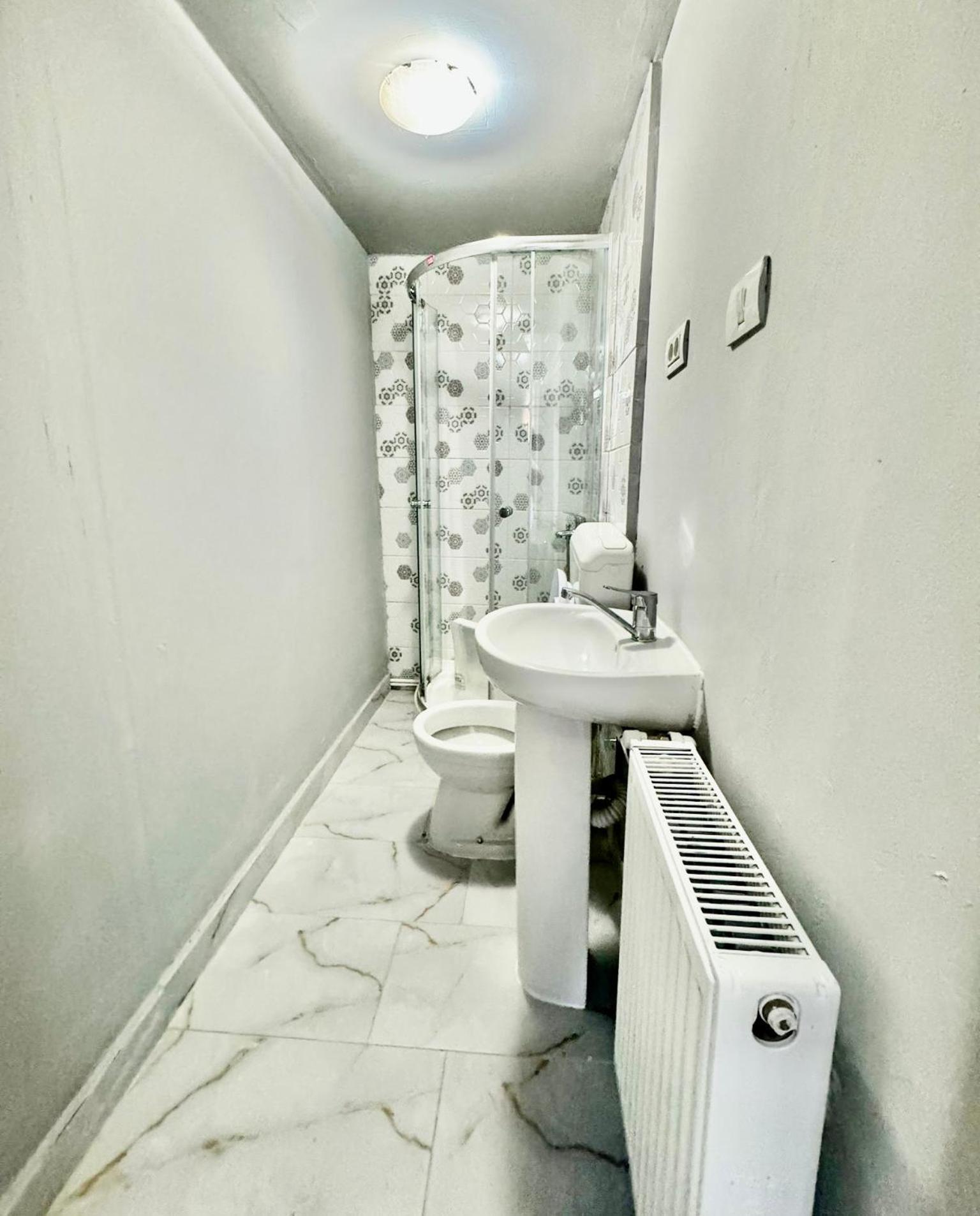 ティミショアラ Serbian House Bed & Breakfast エクステリア 写真