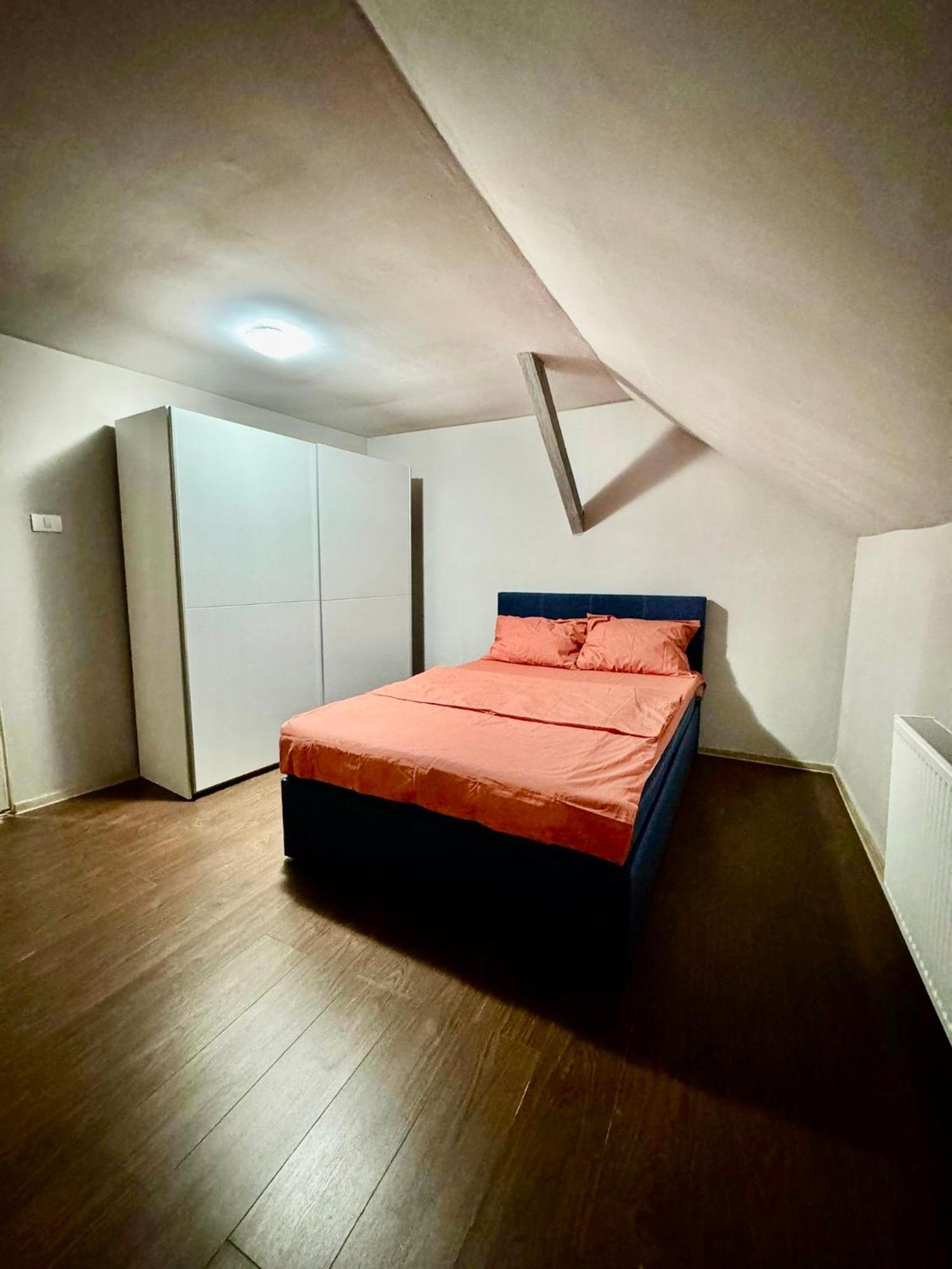 ティミショアラ Serbian House Bed & Breakfast エクステリア 写真