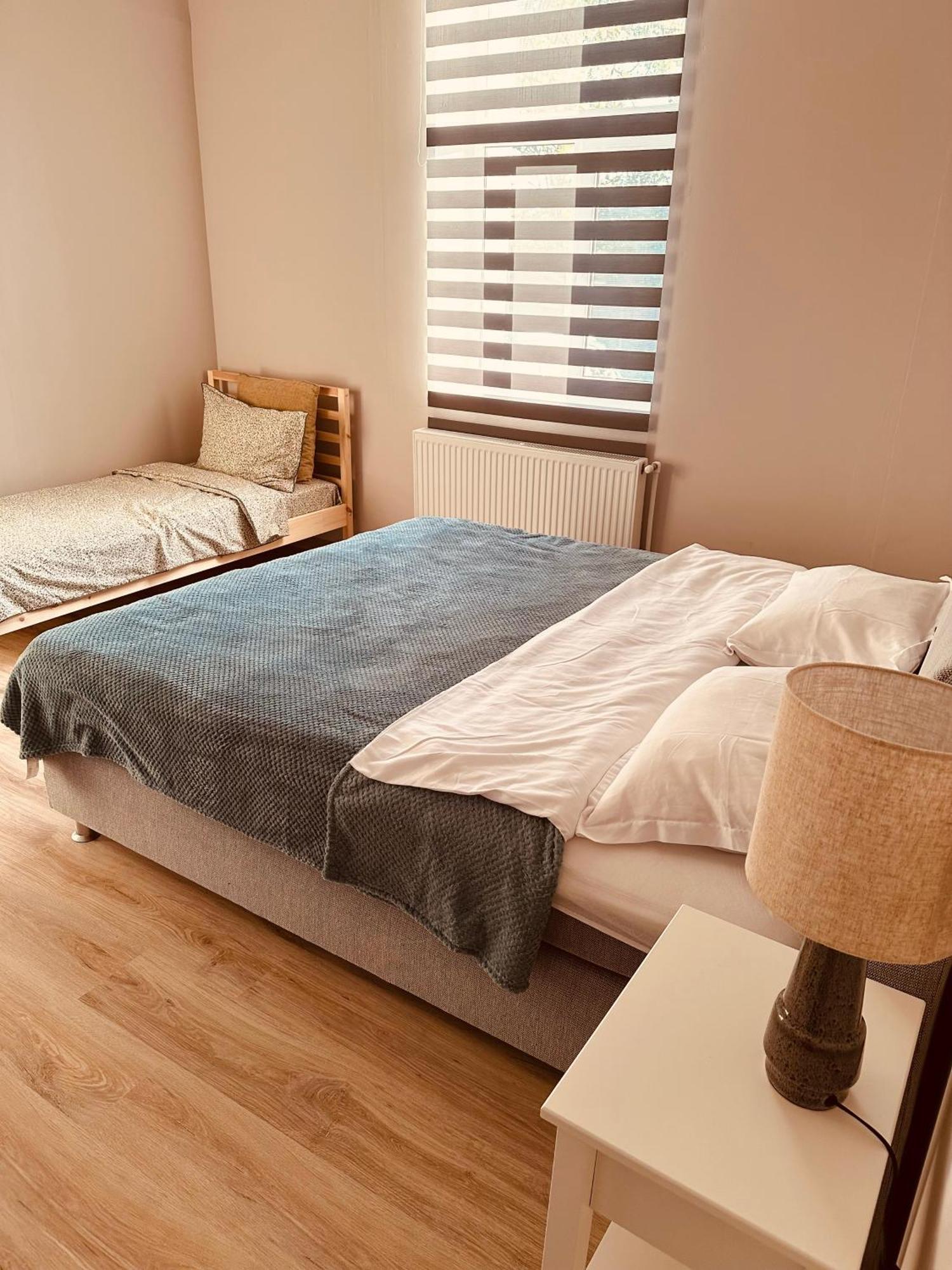 ティミショアラ Serbian House Bed & Breakfast エクステリア 写真