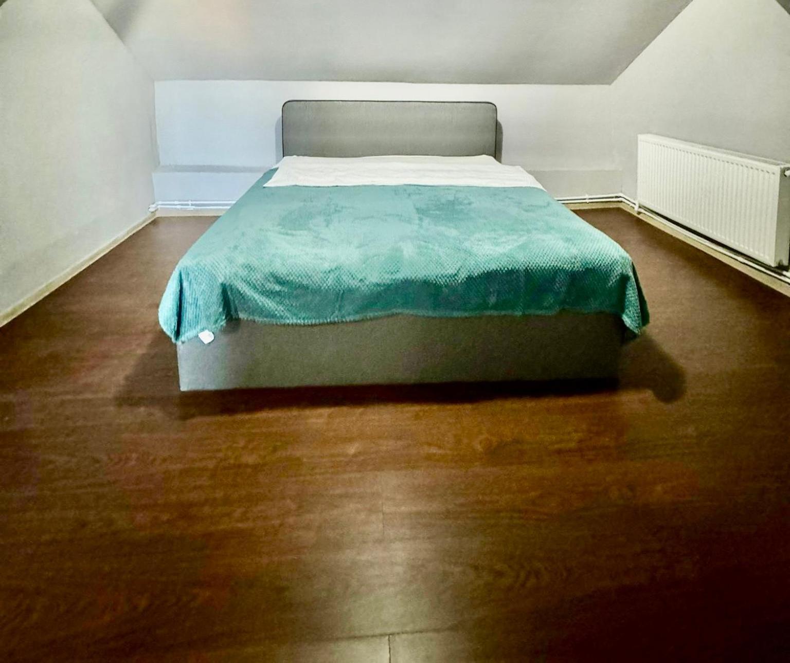 ティミショアラ Serbian House Bed & Breakfast エクステリア 写真