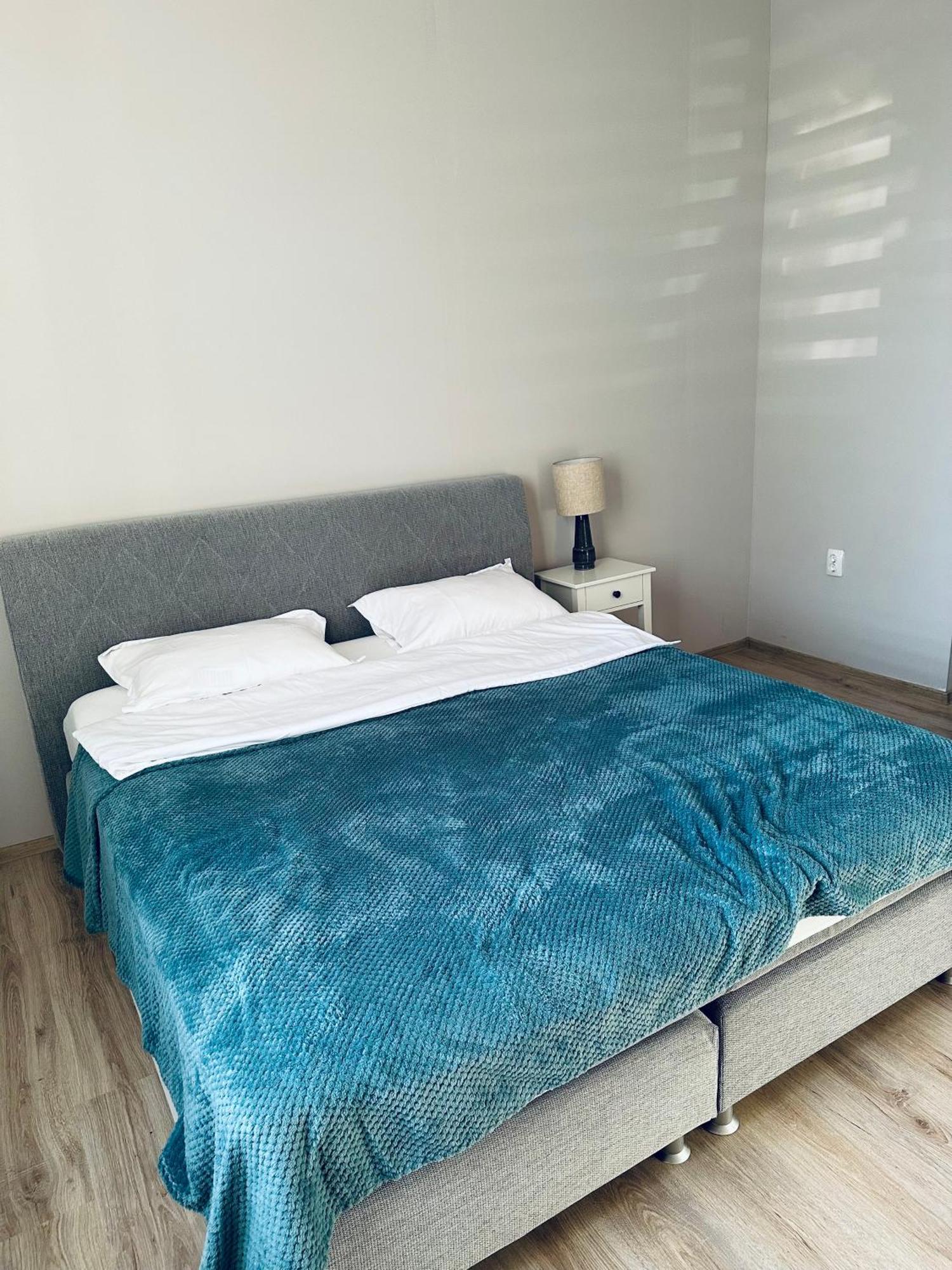 ティミショアラ Serbian House Bed & Breakfast エクステリア 写真