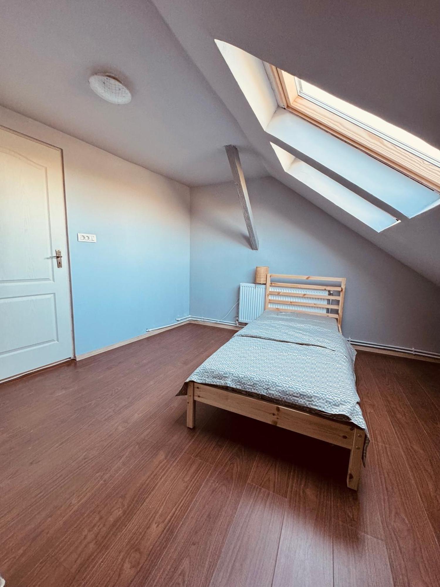 ティミショアラ Serbian House Bed & Breakfast エクステリア 写真