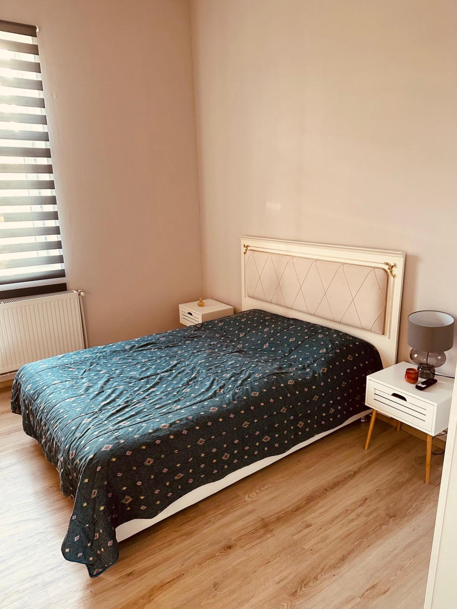ティミショアラ Serbian House Bed & Breakfast エクステリア 写真