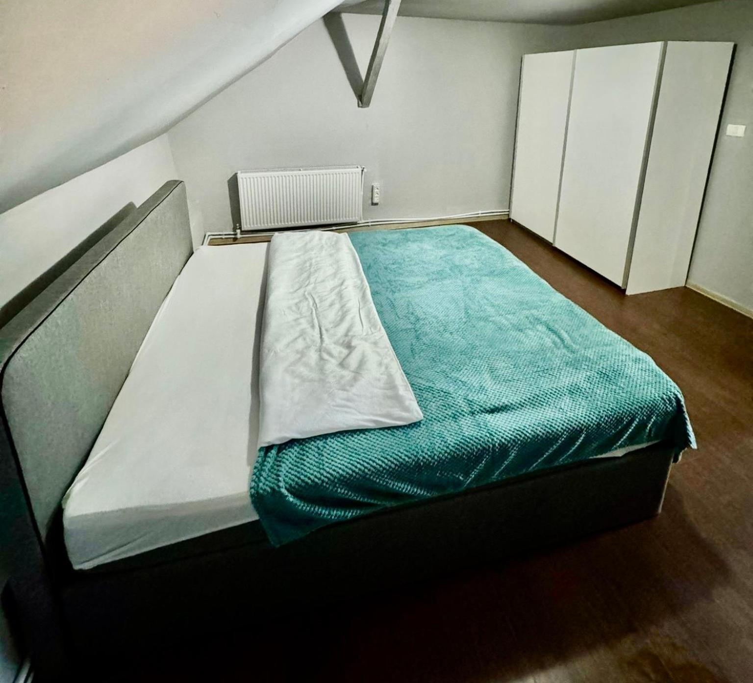 ティミショアラ Serbian House Bed & Breakfast エクステリア 写真