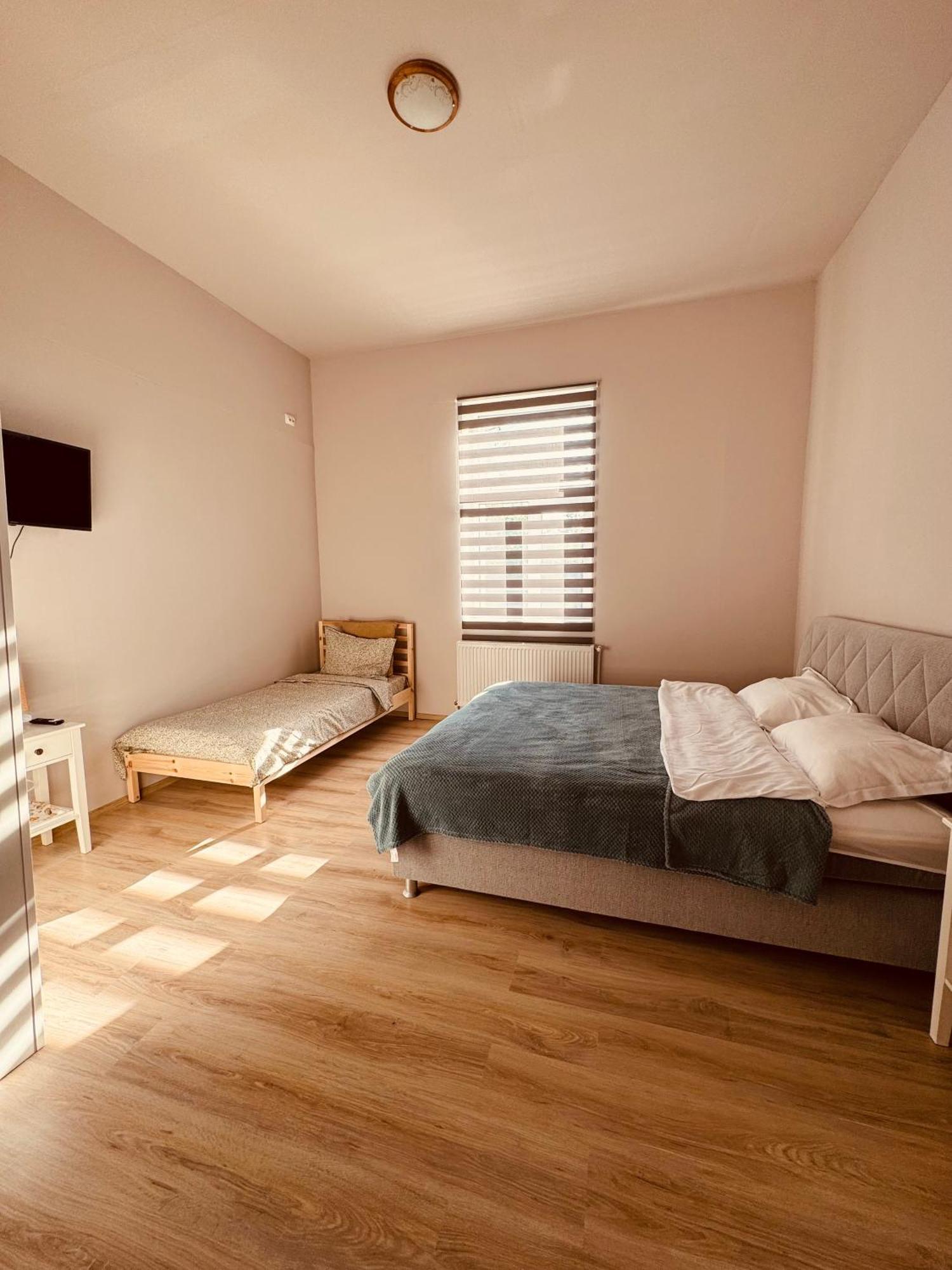 ティミショアラ Serbian House Bed & Breakfast エクステリア 写真