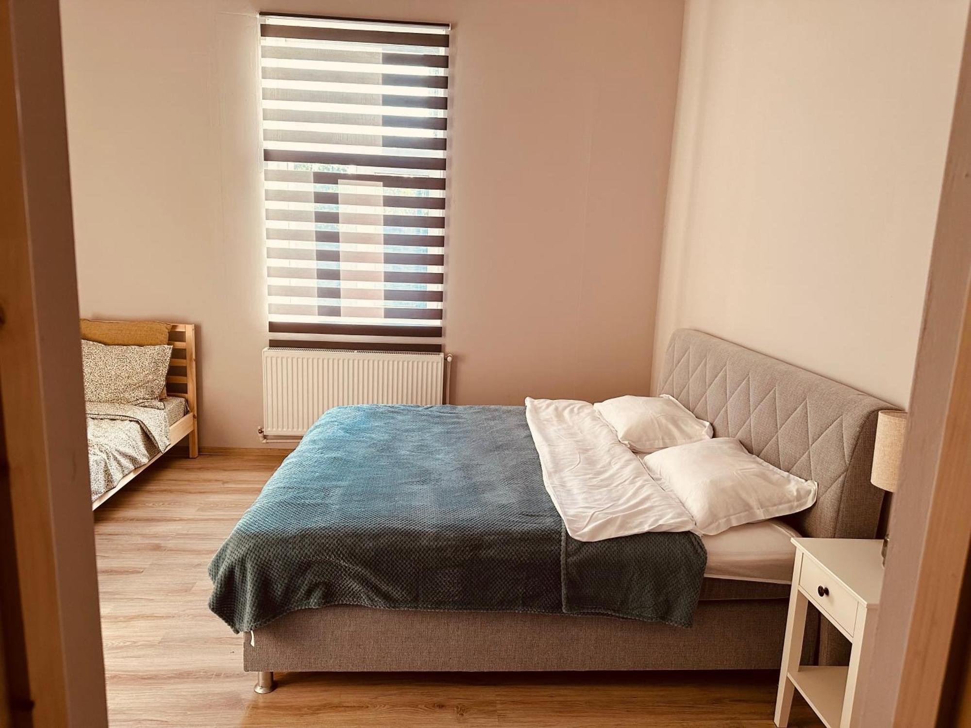ティミショアラ Serbian House Bed & Breakfast エクステリア 写真