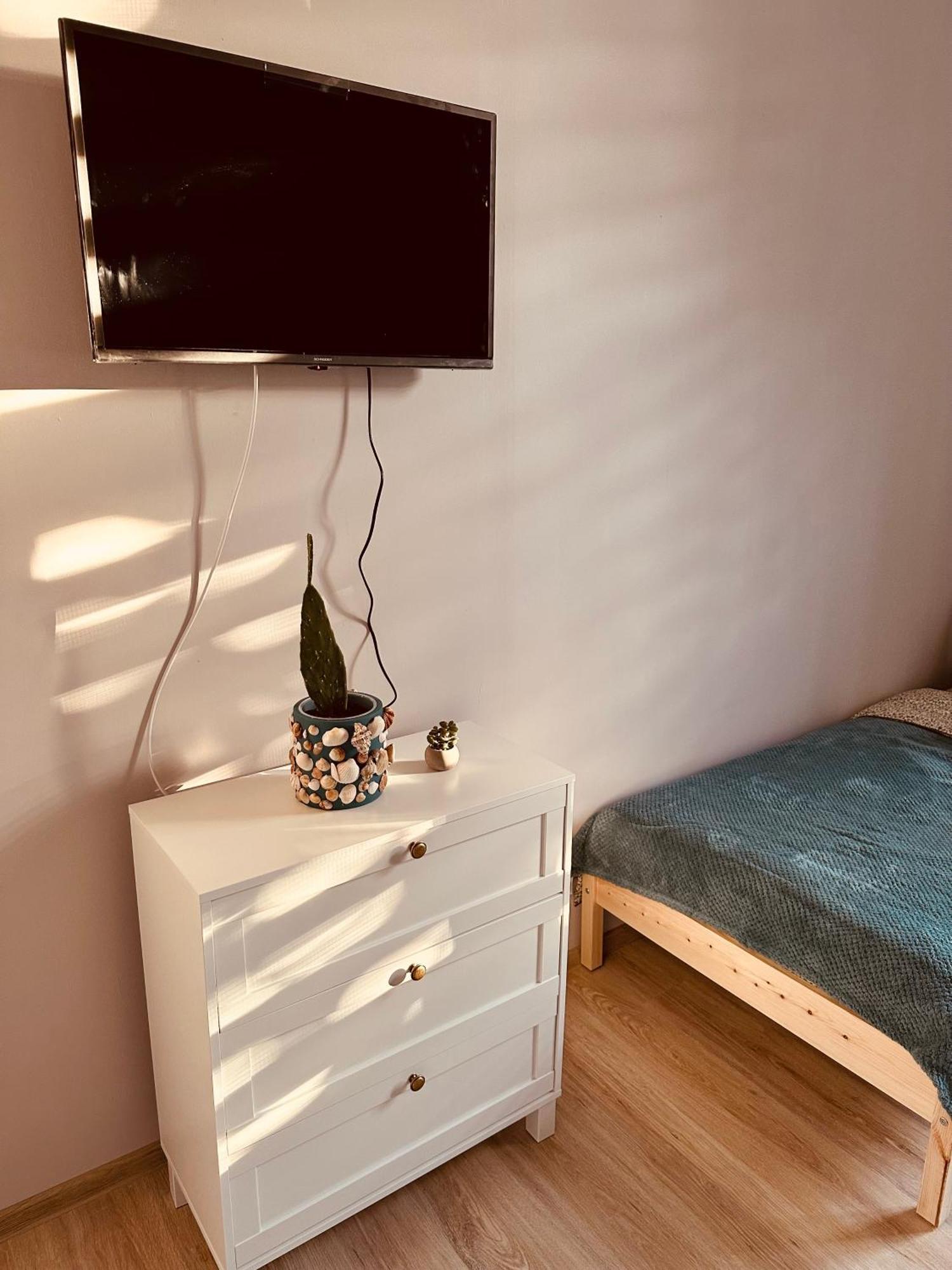 ティミショアラ Serbian House Bed & Breakfast エクステリア 写真